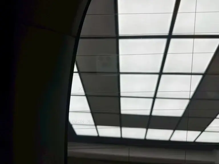 New Model Y 桑馬克 符合法規 隔熱紙完工照片